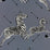 Scalamandre Zebras - Wallpaper Charcoal Wallpaper SCWP81388M0016