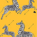 Scalamandre Zebras | Removable Sunbeam Wallpaper Sample SCWP81388PS0016