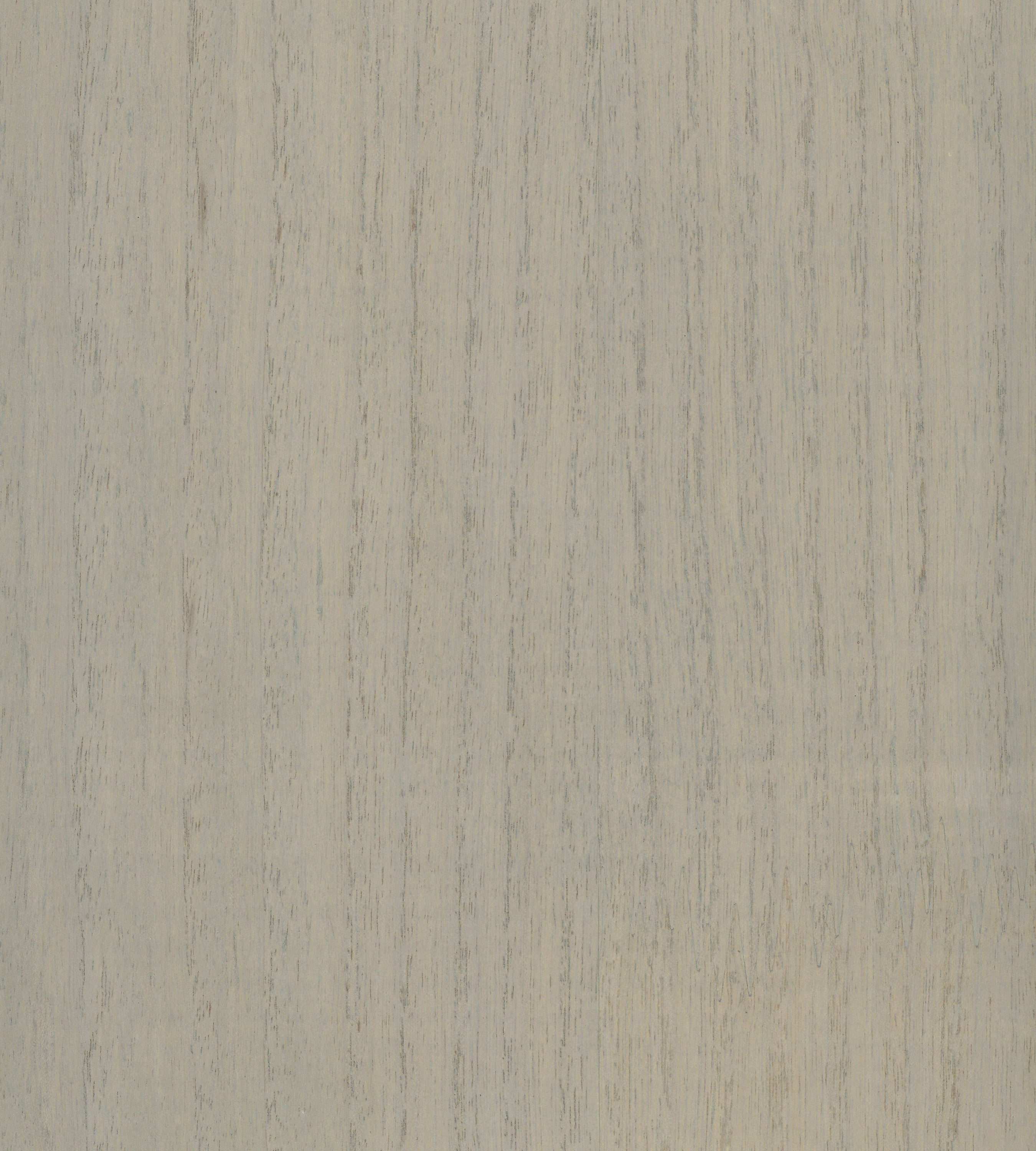 Scalamandre Woodgrain Dove Wallcovering Sample SCWP884780016