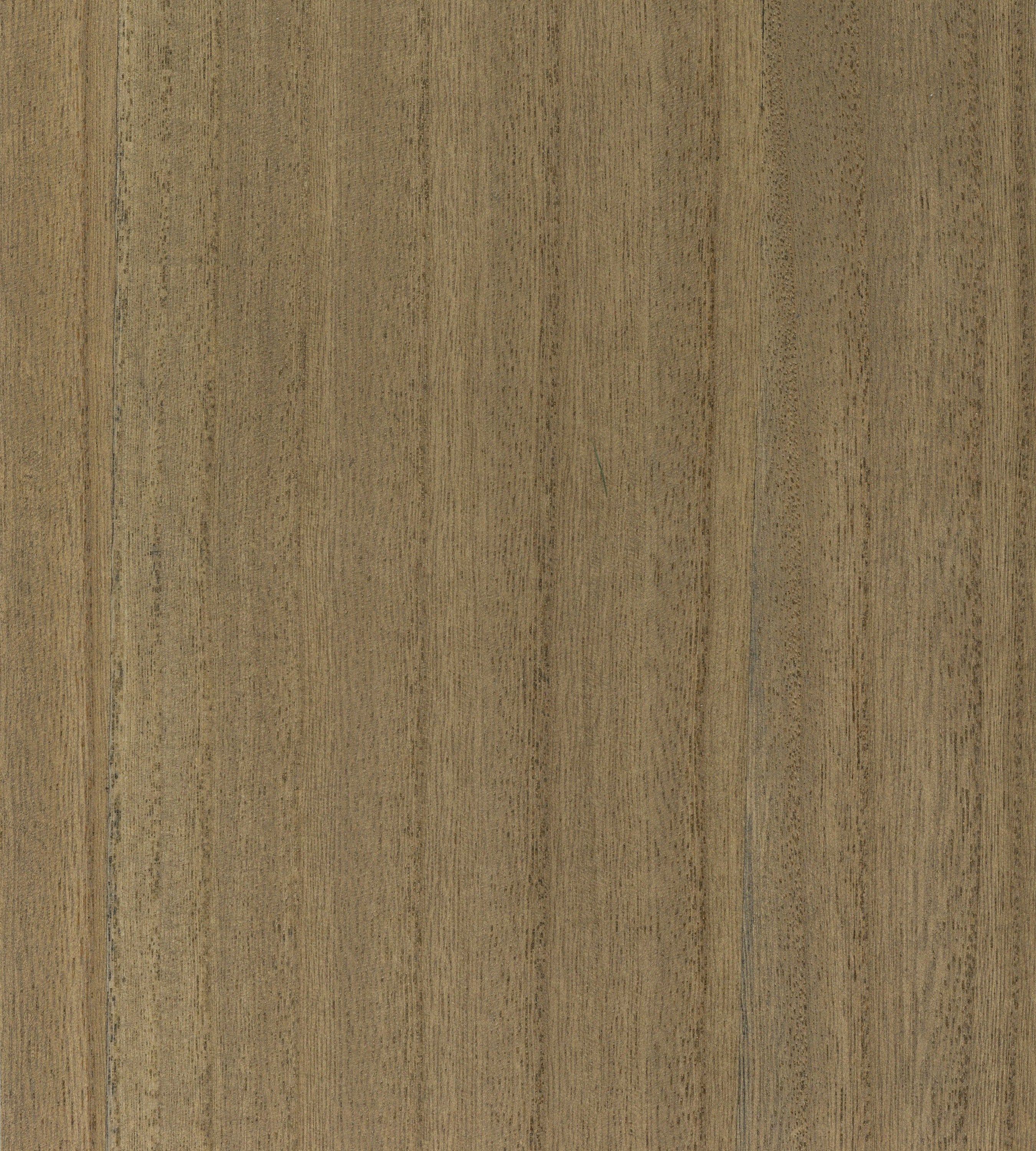 Scalamandre Woodgrain Driftwood Wallcovering Sample SCWP884780017