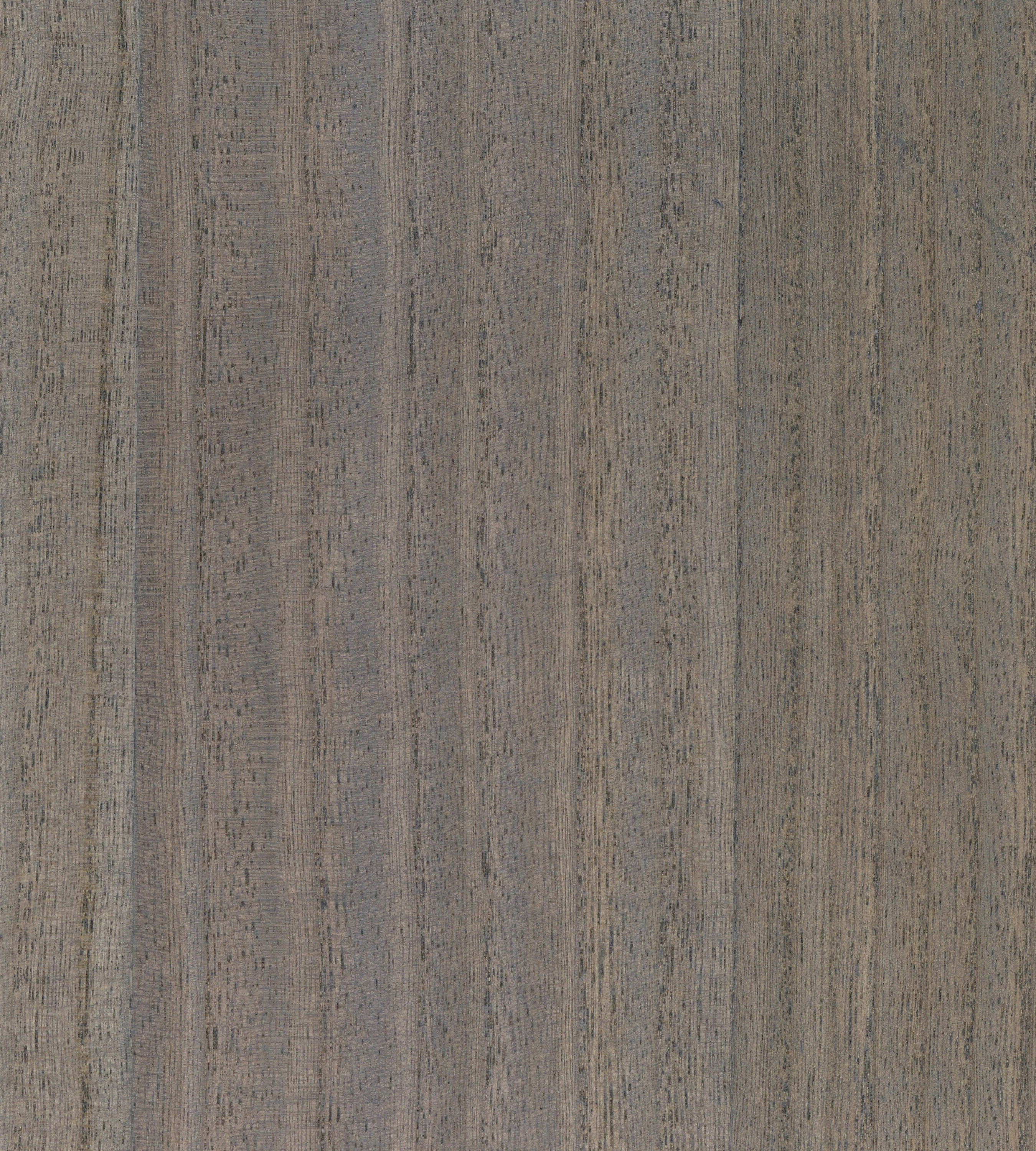 Scalamandre Woodgrain Weathered Teak Wallcovering Sample SCWP884780018
