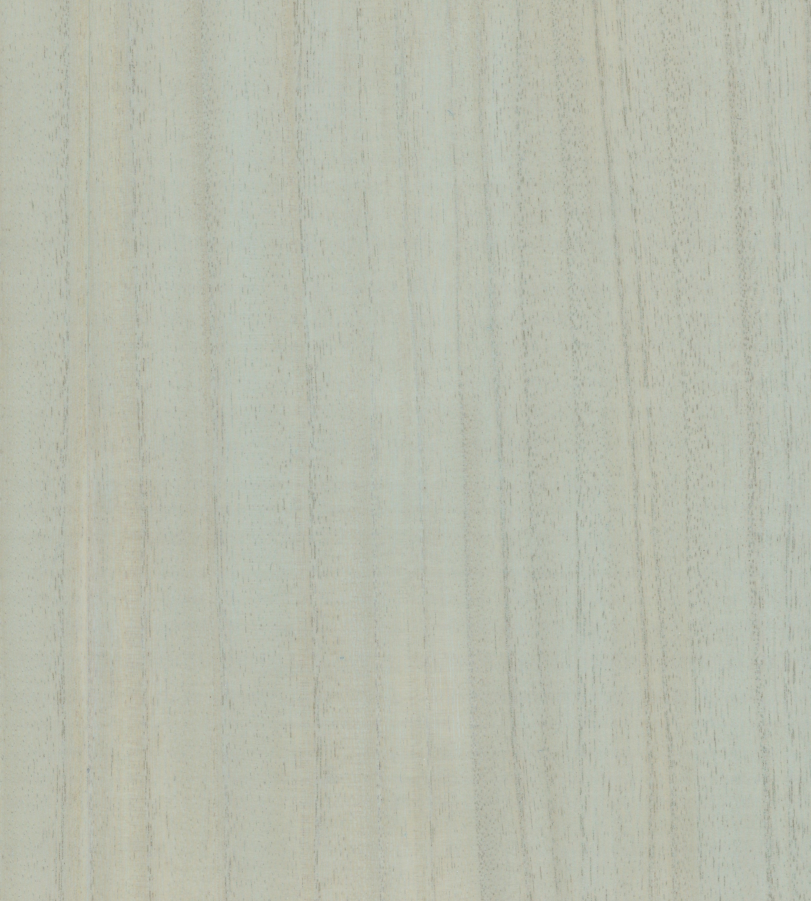 Scalamandre Woodgrain Willow Wallcovering Sample SCWP884780020