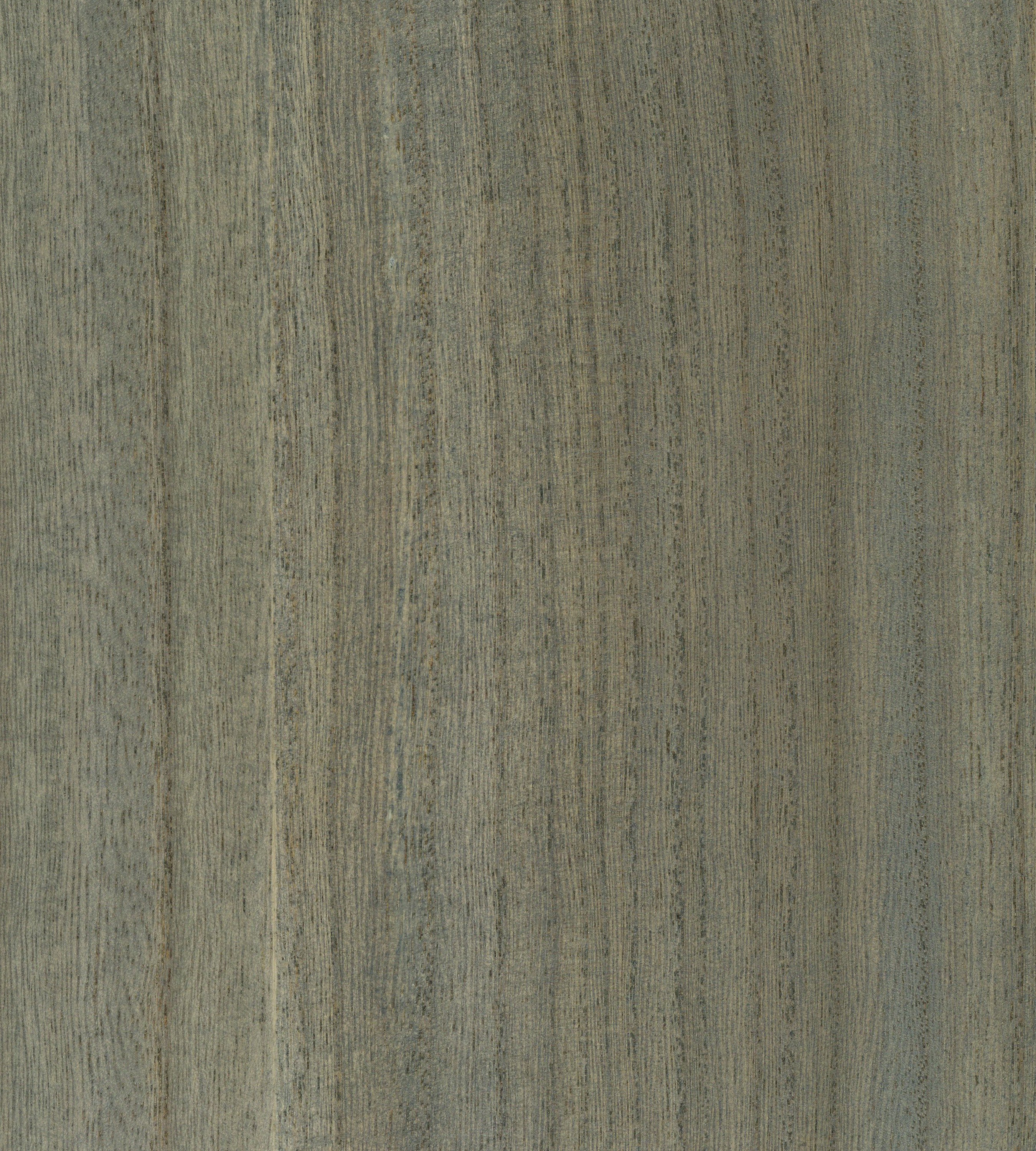 Scalamandre Woodgrain Beach Glass Wallcovering Sample SCWP884780022