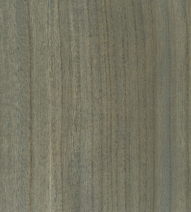 Scalamandre Woodgrain Beach Glass Wallcovering Sample SCWP884780022