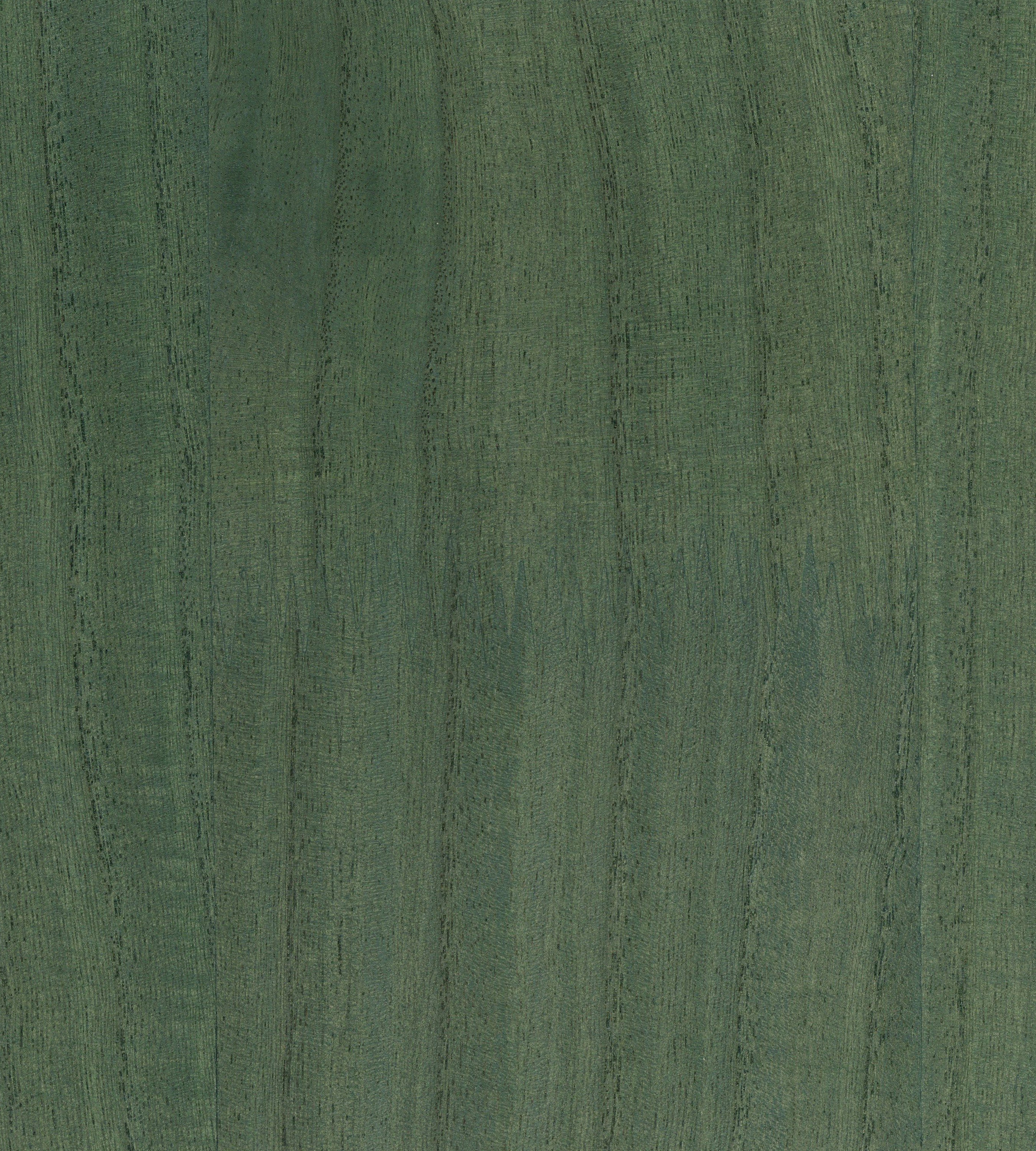 Scalamandre Woodgrain Verdigris Wallcovering Sample SCWP884780025
