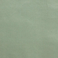 Scalamandre Dynasty Taffeta Pool Fabric SC363830026