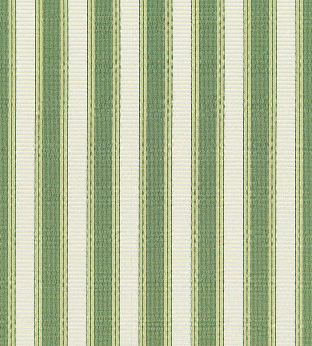 Scalamandre Shirred Stripe Bonsai Fabric SC 0030121M