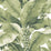 Scalamandre Paradisio Palm Green Wallpaper SCDISO0104