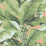 Scalamandre Paradisio Palm Aruba Multi Wallpaper SCDISO0124