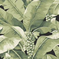 Scalamandre Paradisio Palm Dark Jungle Wallpaper SCDISO0134