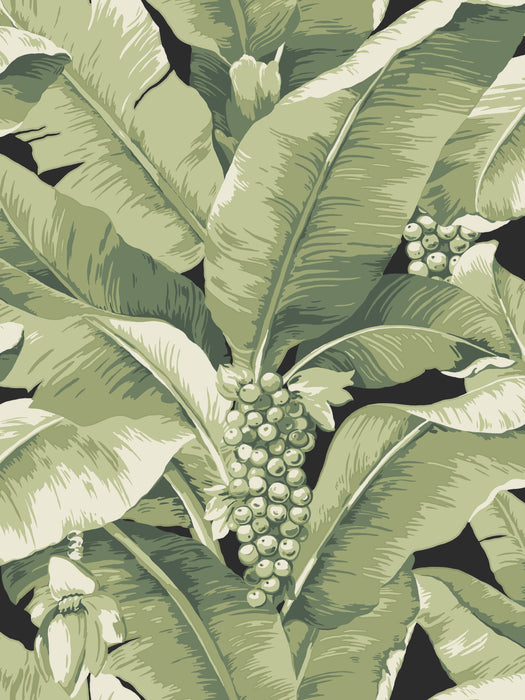 Scalamandre Paradisio Palm Dark Jungle Wallpaper Sample SCDISO0134