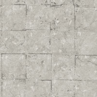 Scalamandre Allure Silver Wallpaper SCALLR1500
