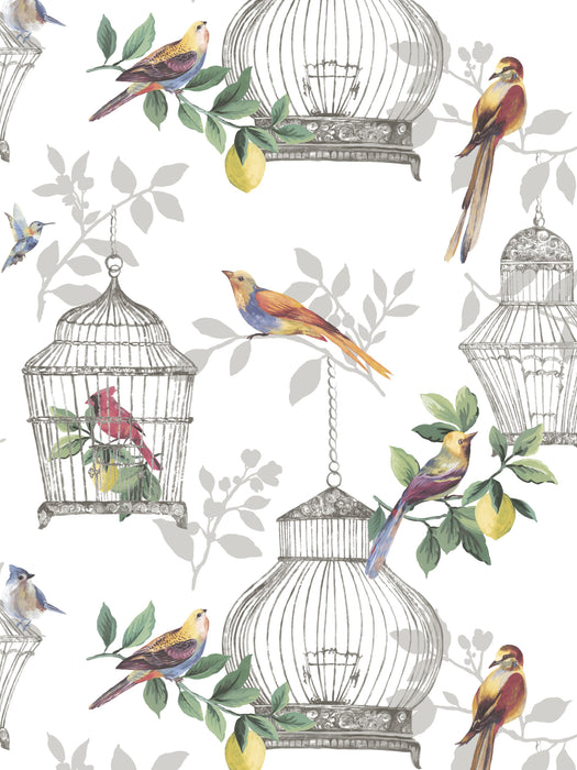 Scalamandre Audubon Songbirds On White Wallpaper SCAUDU1900