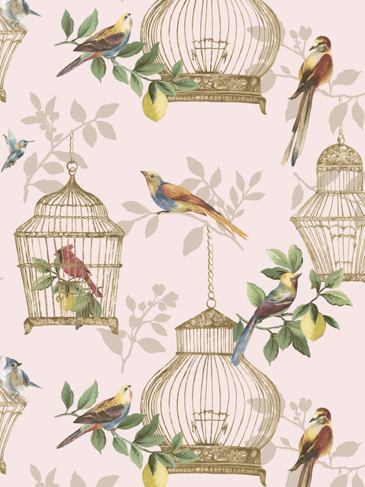 Scalamandre Audubon Songbirds On Rose Wallpaper Sample SCAUDU1901