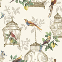 Scalamandre Audubon Songbirds On Cream Wallpaper SCAUDU1906