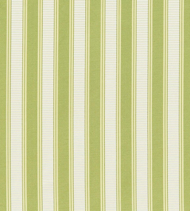 Scalamandre Shirred Stripe New Leaf Fabric Sample SC121M0031