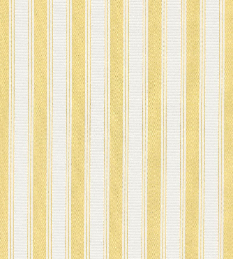 Scalamandre Shirred Stripe Sunray Fabric Sample SC121M0032
