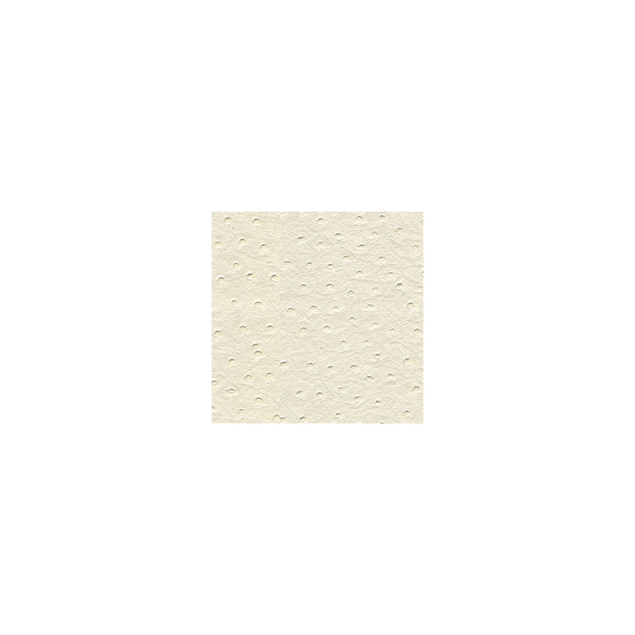 Kravet Design SENNA.101.0 Senna-101 Fabric Sample