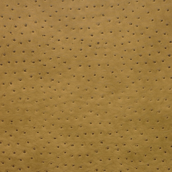 Kravet Design SENNA.4.0 Senna-4 Fabric