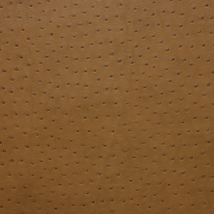 Kravet Design SENNA.616.0 Senna-616 Fabric Sample