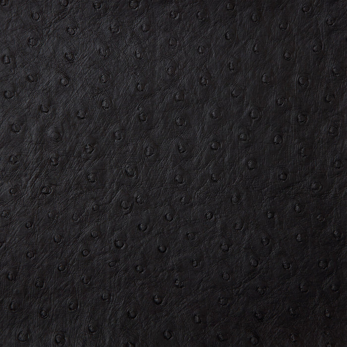 Kravet Design SENNA.8.0 Senna-8 Fabric