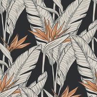 Seabrook Designs Birds Of Paradise Onyx & Metallic Copper Wallpaper SG11910