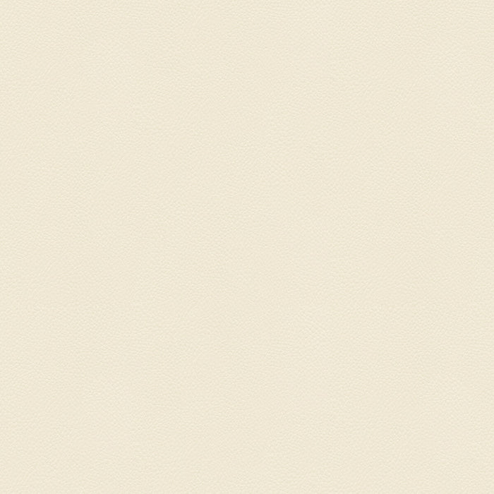 Kravet Couture Side Kick Blanc Fabric SIDE KICK.1.0