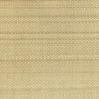 Old World Weavers Paso Horsehair Lime Fabric SK05250001