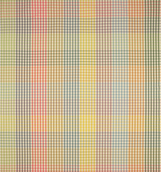 Pierre Frey Elga Multicolore Fabric Sample F4056001