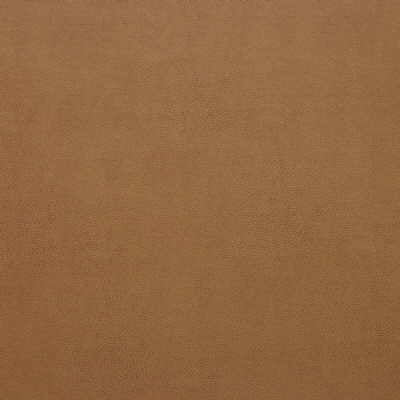 Kravet Design SPARTA.12.0 Sparta-12 Fabric Sample