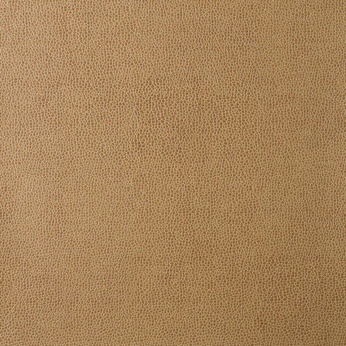 Kravet Design SPARTA.16.0 Sparta-16 Fabric