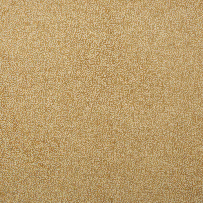 Kravet Design SPARTA.1.0 Sparta-1 Fabric