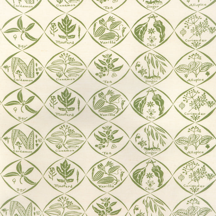 Kravet Couture Spices Cactus Fabric Sample SPICES.31.0
