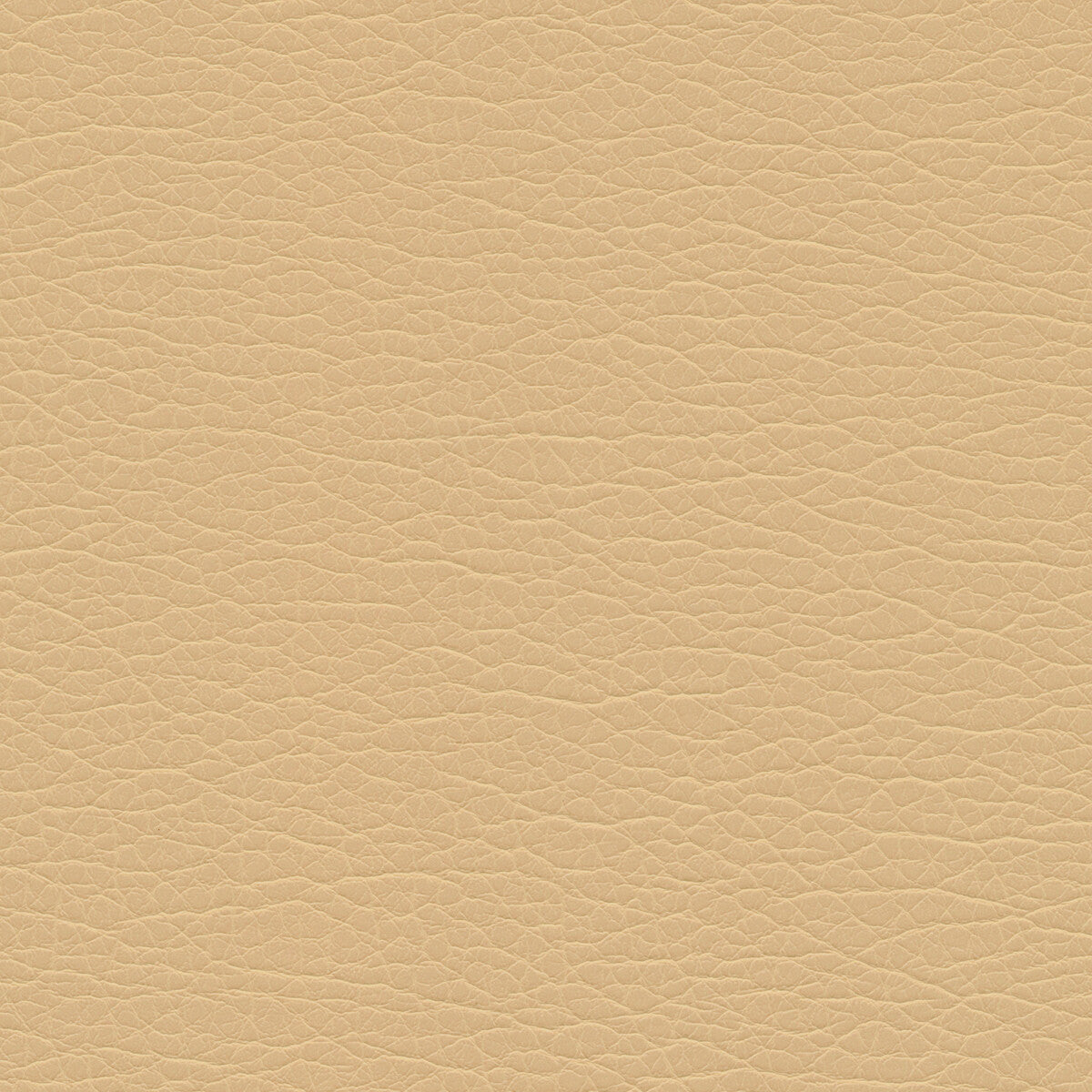 Kravet Design SPLIT Split-16 SPLIT.16.0 Fabric | 40% Off (Samples)