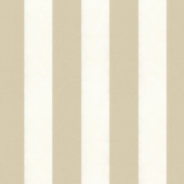 JF Fabrics Step 14 Fabric 6474314
