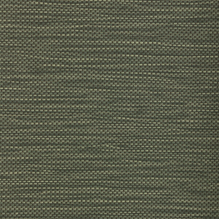 Kravet Contract Stitch Rainforest Fabric STITCH.33.0