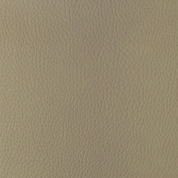 Kravet Design SUGARMAPLE.16.0 Sugarmaple-16 Fabric Sample