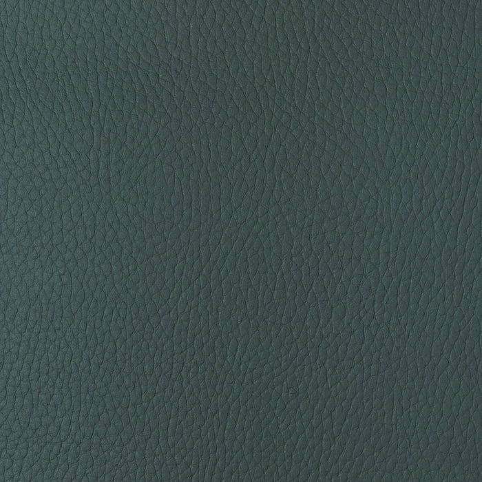 Kravet Design SUGARMAPLE.35.0 Sugarmaple-35 Fabric Sample