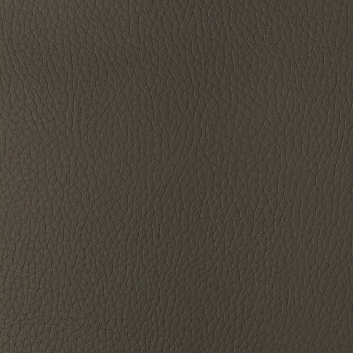 Kravet Design SUGARMAPLE.616.0 Sugarmaple-616 Fabric Sample