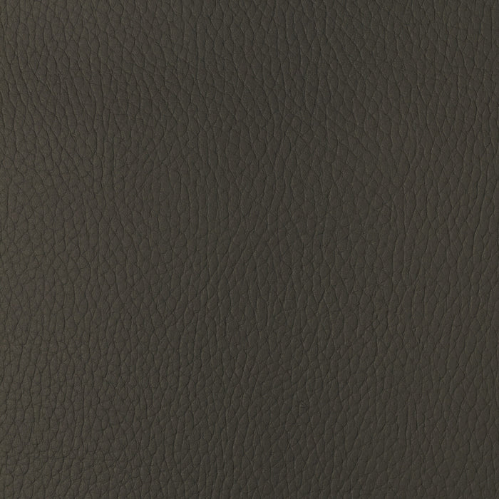 Kravet Design SUGARMAPLE.6.0 Sugarmaple-6 Fabric Sample