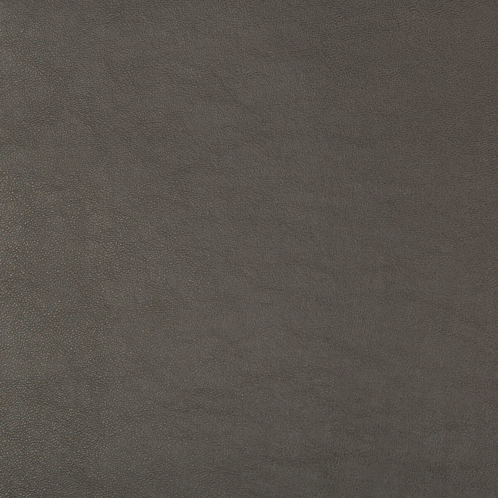 Kravet Design SWAPS.21.0 Swaps-21 Fabric Sample