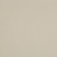 Kravet Contract Syrus Stone Fabric SYRUS.1116.0