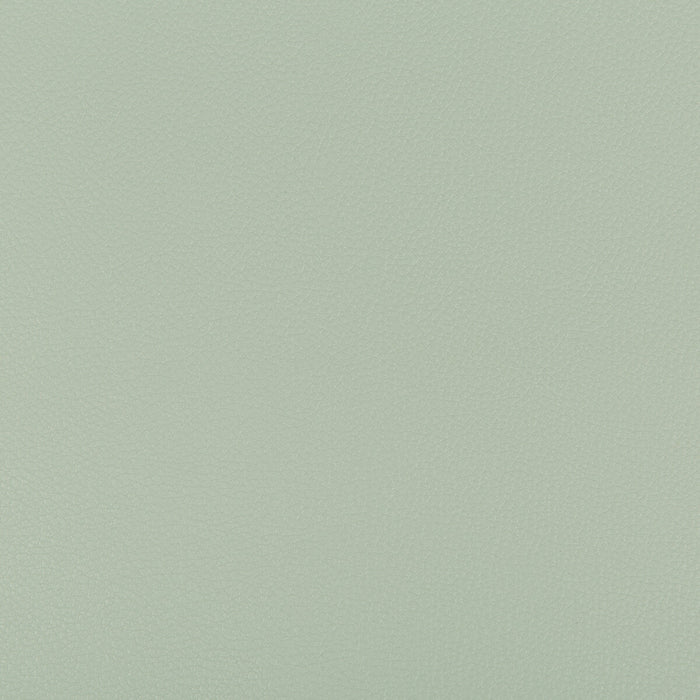 Kravet Contract Syrus Seaspray Fabric SYRUS.1135.0