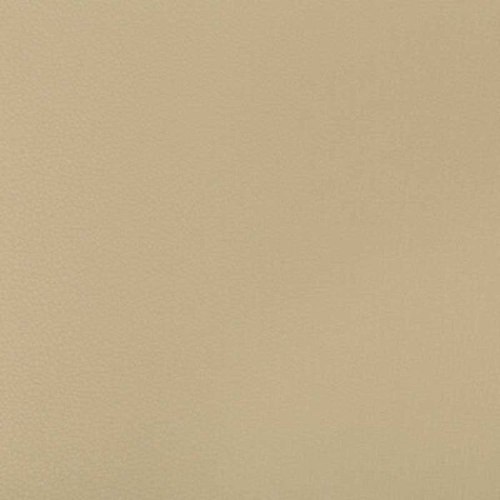 Kravet Contract Syrus Stucco Fabric Sample SYRUS.1616.0
