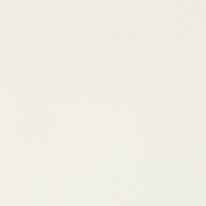 Kravet Contract Syrus Gesso Fabric SYRUS.1.0