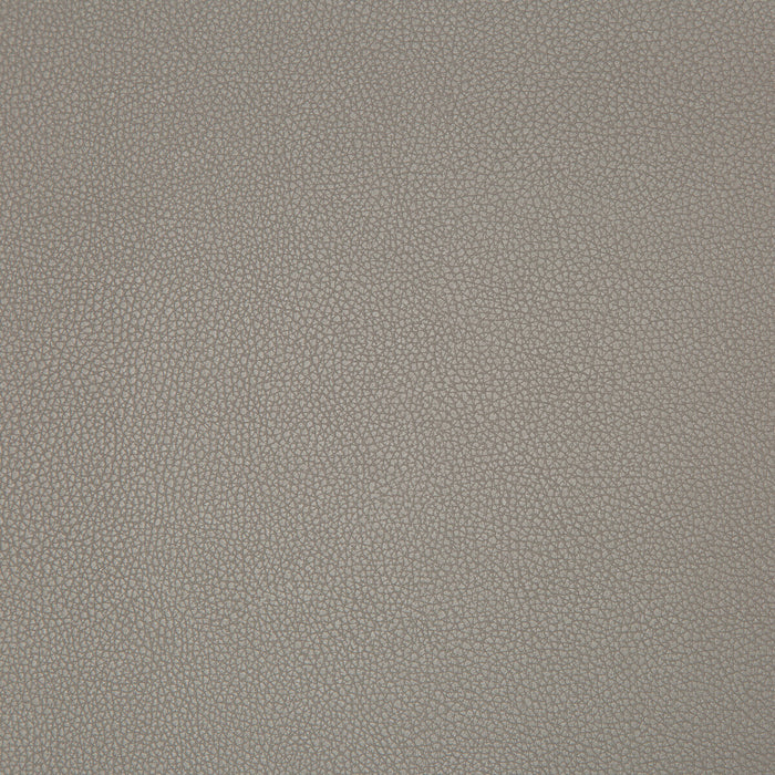 Kravet Contract Syrus Truffle Fabric SYRUS.2106.0