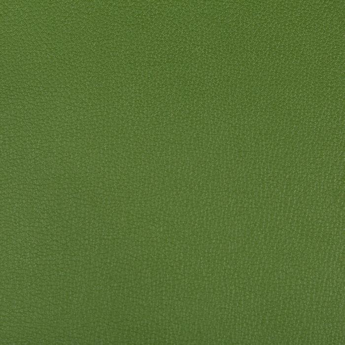 Kravet Contract Syrus Bonsai Fabric SYRUS.303.0