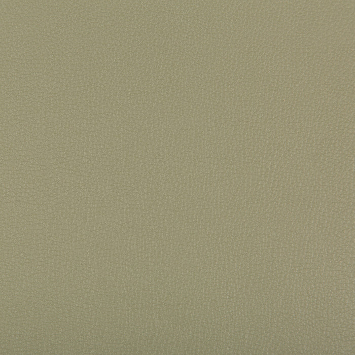 Kravet Contract Syrus Sage Fabric SYRUS.311.0