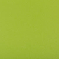 Kravet Contract Syrus Matcha Fabric SYRUS.340.0