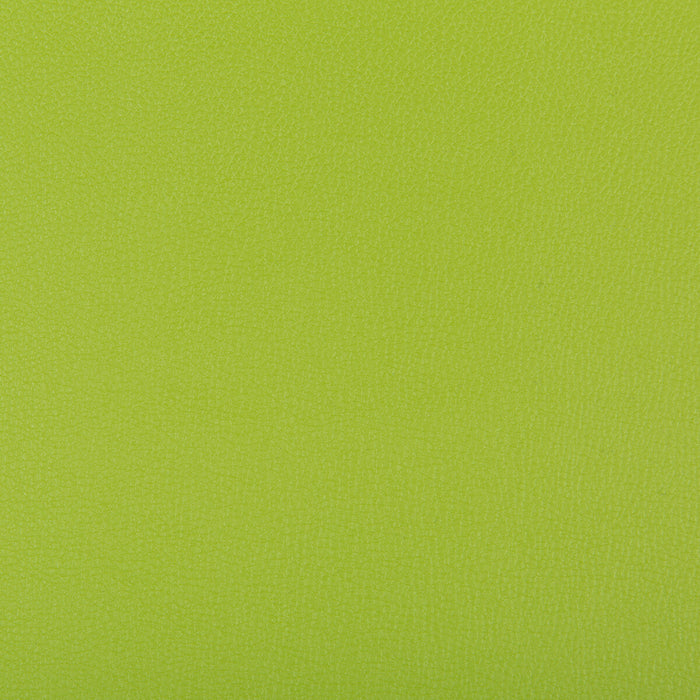 Kravet Contract Syrus Matcha Fabric Sample SYRUS.340.0